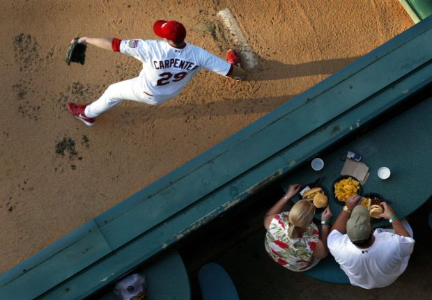 Carp warms up
